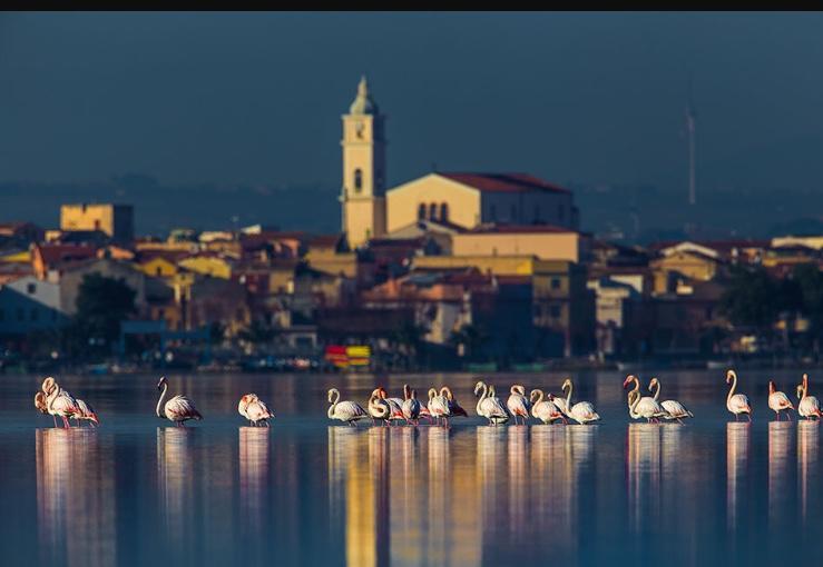 Casale Villa Giulia Marina Di ليزينا المظهر الخارجي الصورة
